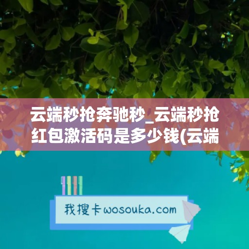 云端秒抢奔驰秒_云端秒抢红包激活码是多少钱(云端秒抢是什么)