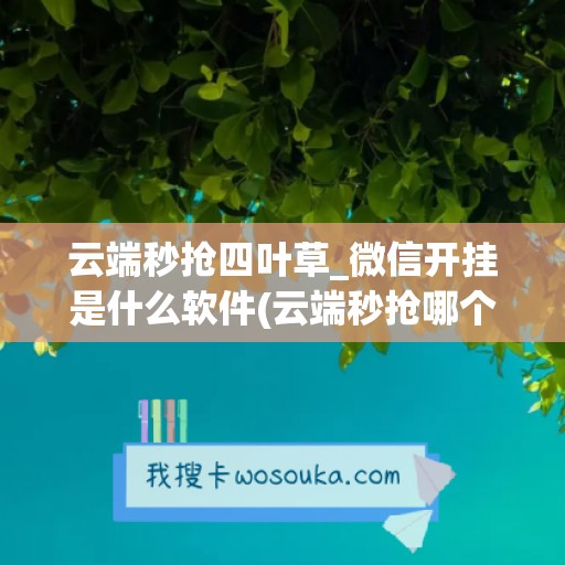 云端秒抢四叶草_微信开挂是什么软件(云端秒抢哪个最好)