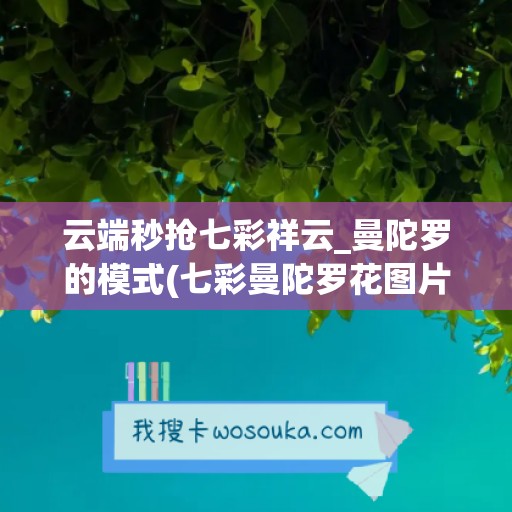 云端秒抢七彩祥云_曼陀罗的模式(七彩曼陀罗花图片)