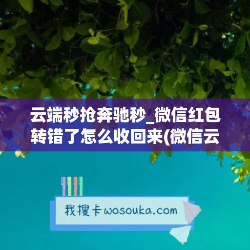 云端秒抢奔驰秒_微信红包转错了怎么收回来(微信云端抢红包什么原理)