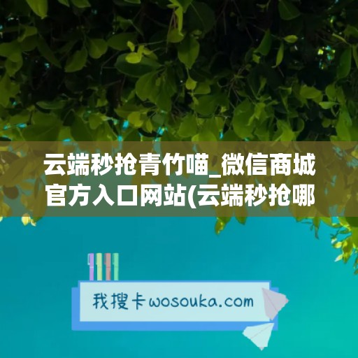 云端秒抢青竹喵_微信商城官方入口网站(云端秒抢哪个最好)