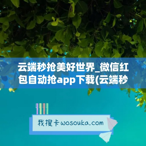 云端秒抢美好世界_微信红包自动抢app下载(云端秒抢使用教程)