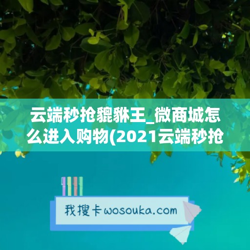 云端秒抢貔貅王_微商城怎么进入购物(2021云端秒抢)