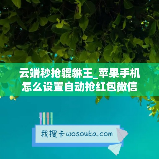 云端秒抢貔貅王_苹果手机怎么设置自动抢红包微信