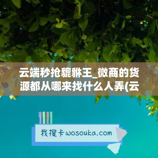 云端秒抢貔貅王_微商的货源都从哪来找什么人弄(云端秒抢官方网站)