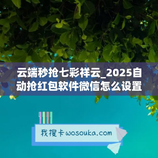 云端秒抢七彩祥云_2025自动抢红包软件微信怎么设置(最新云端秒抢红包)