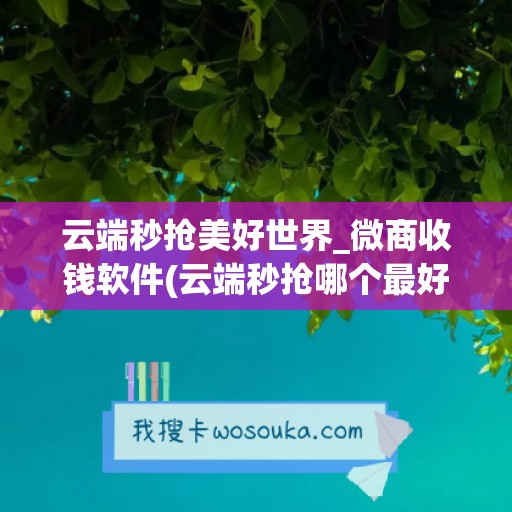 云端秒抢美好世界_微商收钱软件(云端秒抢哪个最好)