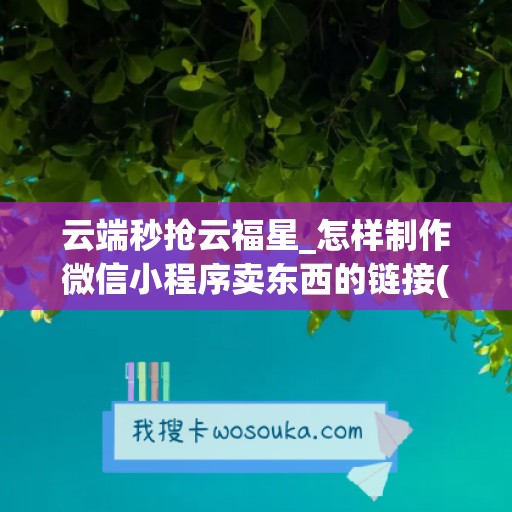 云端秒抢云福星_怎样制作微信小程序卖东西的链接(微信小程序如何抢购)