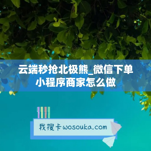 云端秒抢北极熊_微信下单小程序商家怎么做