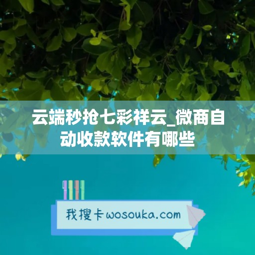 云端秒抢七彩祥云_微商自动收款软件有哪些