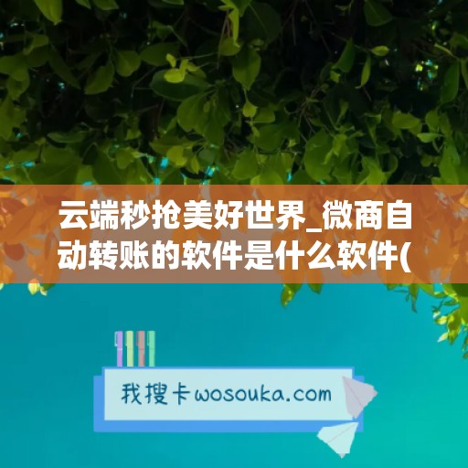 云端秒抢美好世界_微商自动转账的软件是什么软件(云端秒抢自助商城)