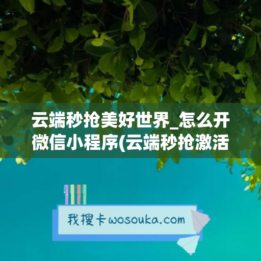 云端秒抢美好世界_怎么开微信小程序(云端秒抢激活码商城)