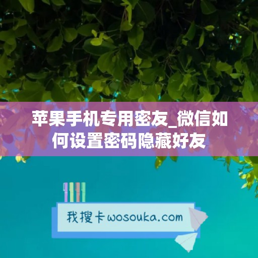 苹果手机专用密友_微信如何设置密码隐藏好友