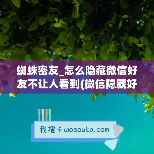 蜘蛛密友_怎么隐藏微信好友不让人看到(微信隐藏好友 推荐蜘蛛密友)