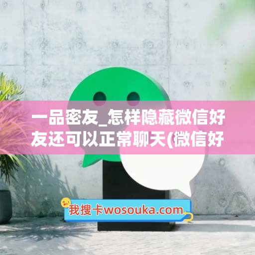 一品密友_怎样隐藏微信好友还可以正常聊天(微信好友如何隐藏隐蔽性的聊天)