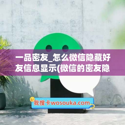 一品密友_怎么微信隐藏好友信息显示(微信的密友隐藏)