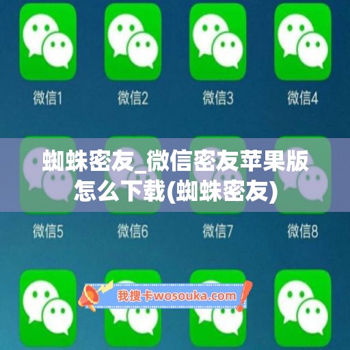 蜘蛛密友_微信密友苹果版怎么下载(蜘蛛密友)