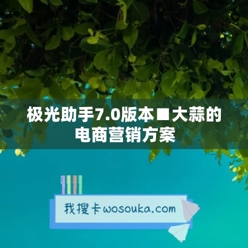 极光助手7.0版本■大蒜的电商营销方案