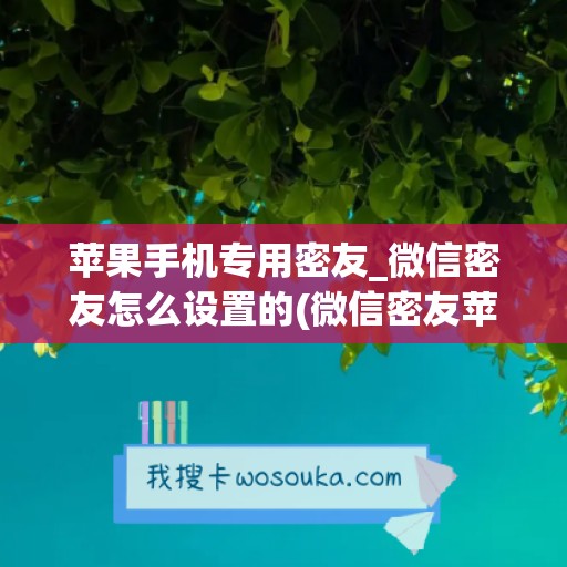 苹果手机专用密友_微信密友怎么设置的(微信密友苹果版怎么设置)