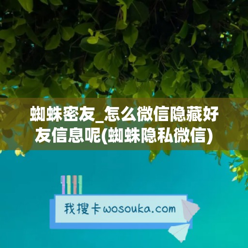 蜘蛛密友_怎么微信隐藏好友信息呢(蜘蛛隐私微信)