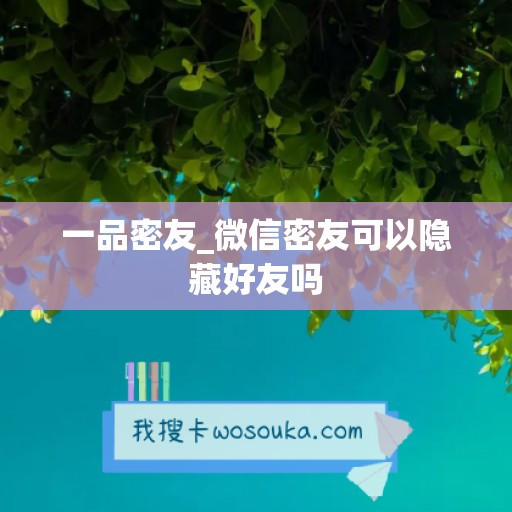 一品密友_微信密友可以隐藏好友吗