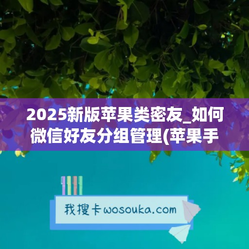 2025新版苹果类密友_如何微信好友分组管理(苹果手机微信好友怎样分组)