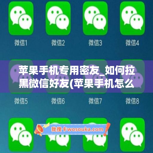 苹果手机专用密友_如何拉黑微信好友(苹果手机怎么加密微信好友)