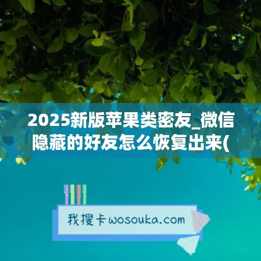 2025新版苹果类密友_微信隐藏的好友怎么恢复出来(苹果微信隐藏好友功能)