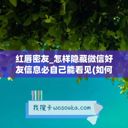 红唇密友_怎样隐藏微信好友信息必自己能看见(如何隐藏微信好友和信息)