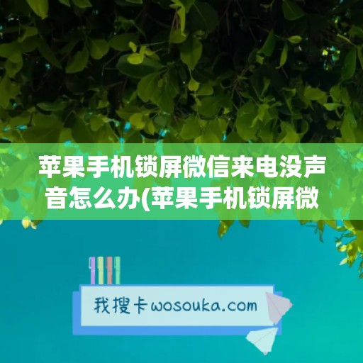 苹果手机锁屏微信来电没声音怎么办(苹果手机锁屏微信来电没声音只有震动)