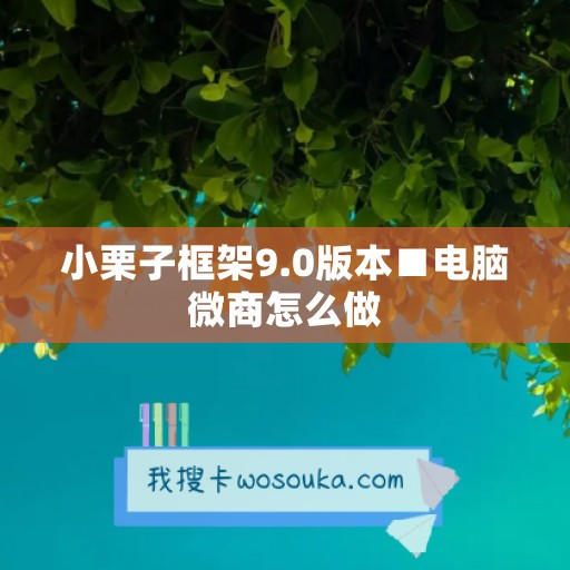 小栗子框架9.0版本■电脑微商怎么做