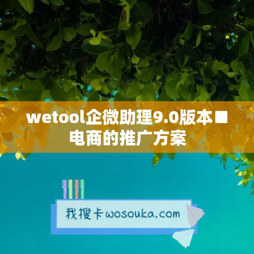 wetool企微助理9.0版本■电商的推广方案