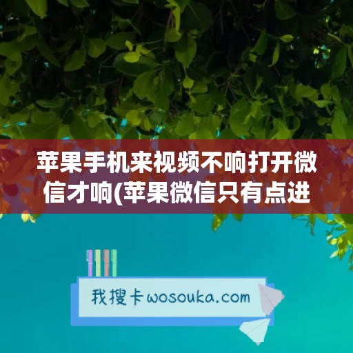 苹果手机来视频不响打开微信才响(苹果微信只有点进去才有提示)