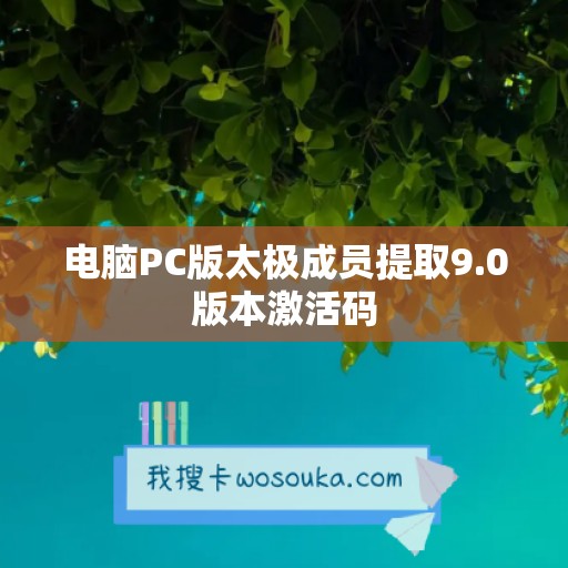 电脑PC版太极成员提取9.0版本激活码