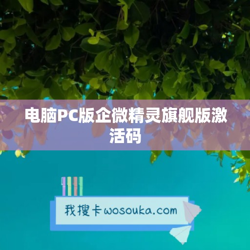 电脑PC版企微精灵旗舰版激活码