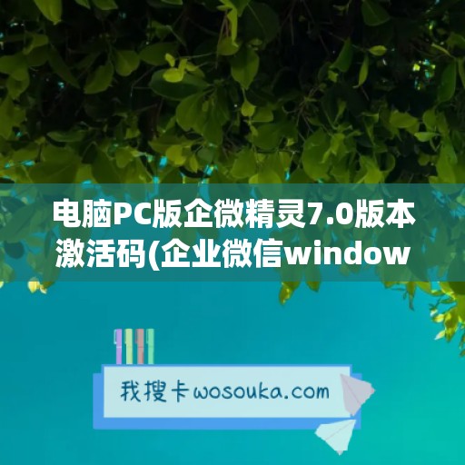 电脑PC版企微精灵7.0版本激活码(企业微信windows版)