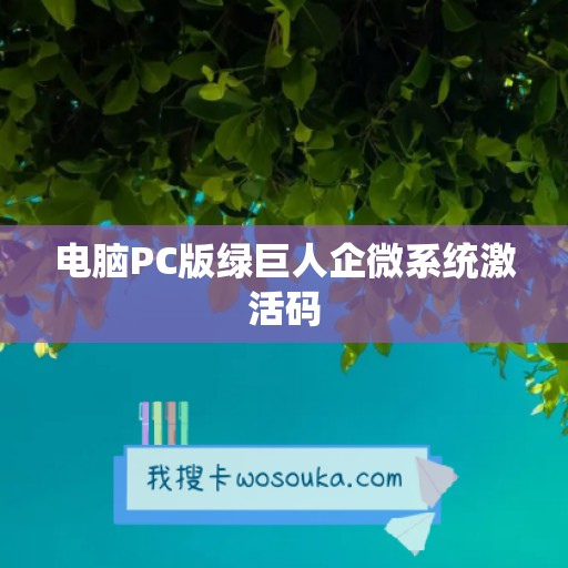 电脑PC版绿巨人企微系统激活码