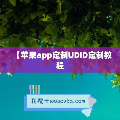 【苹果app定制UDID定制教程